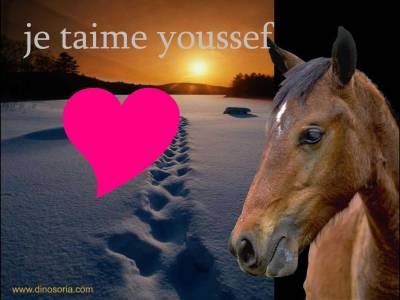 i love you